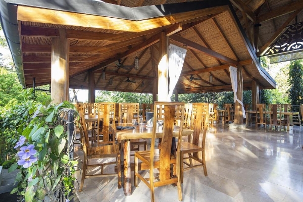 Hotel Bodhi Tree Yoga Resort